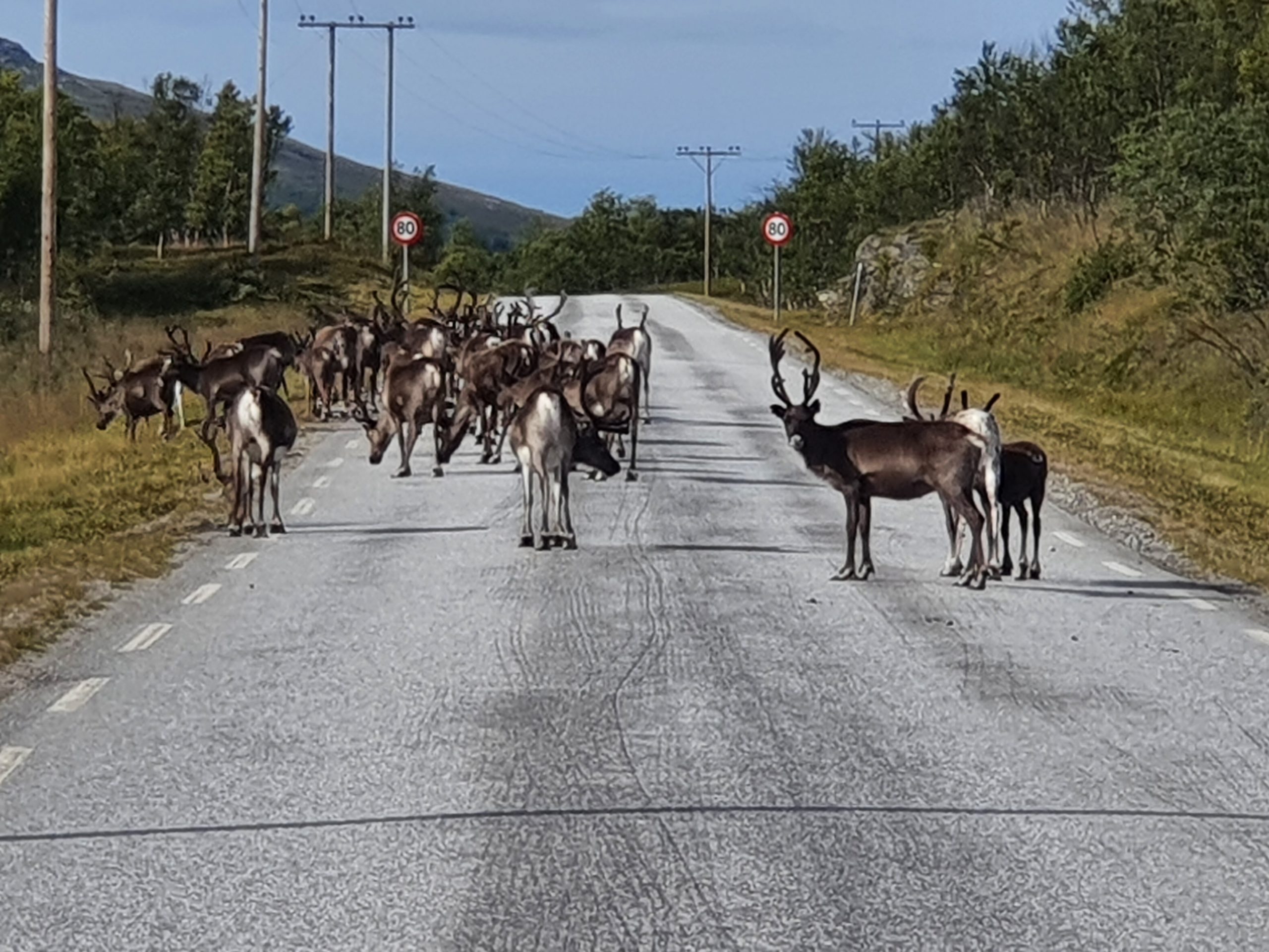 Tag 20 – Nordkapp > Skaidi