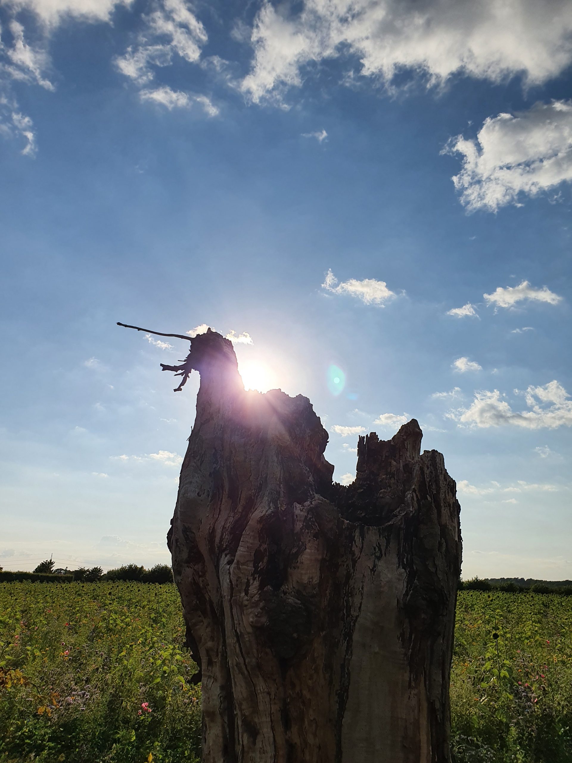 Tag 1 – Trelleborg > Bjuv